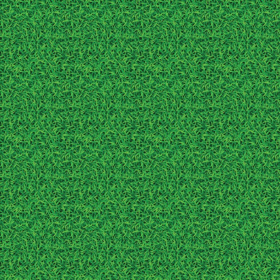 Top view background of garden bright grass vector