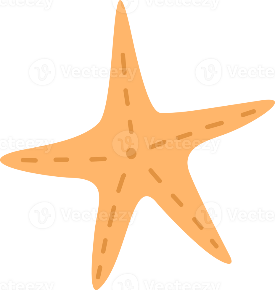 Orange Starfish Illustration png
