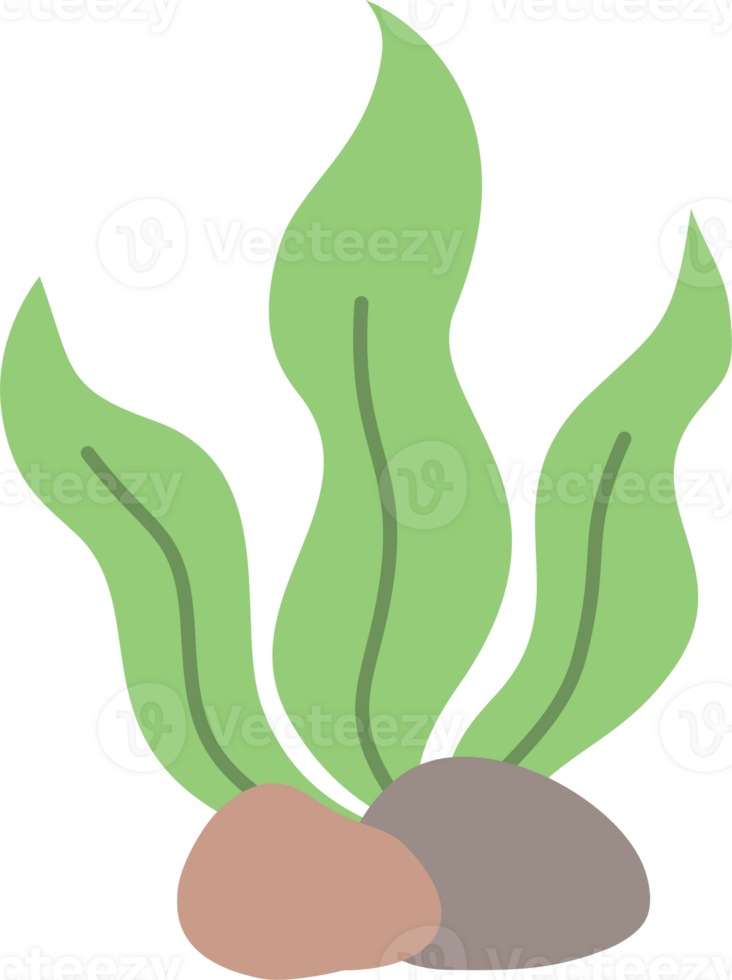 Green Algae And Rocks Illustration png