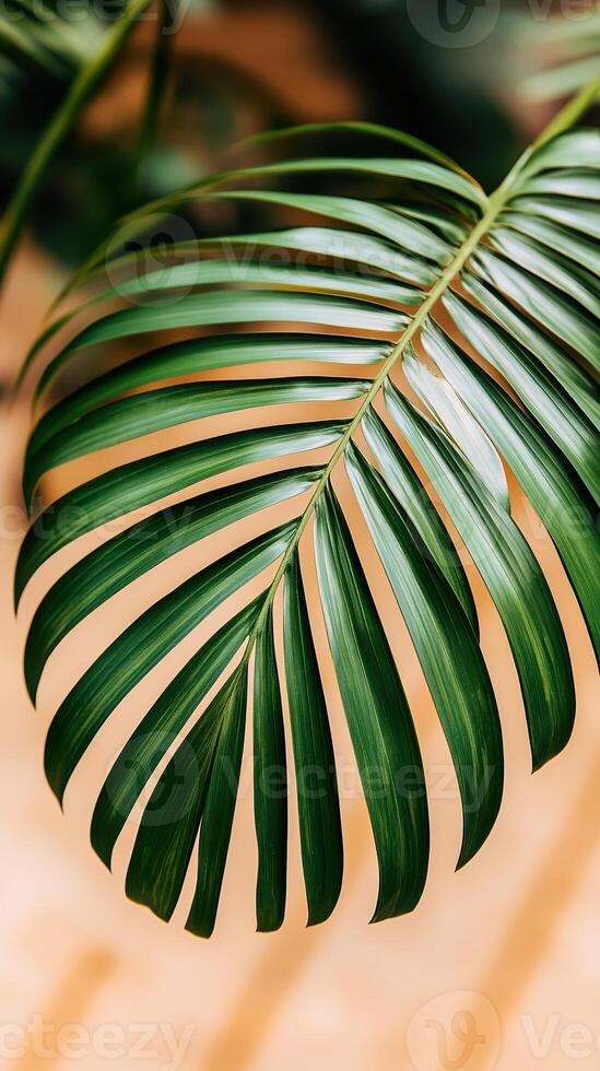 Close up of lush green leaf on a soft, warm background. photo