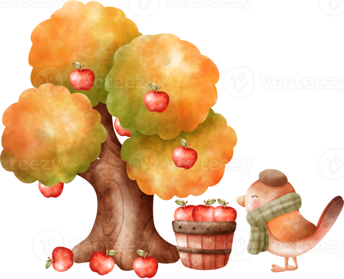 Watercolor Autumn Apple Tree And Bird Illustration png