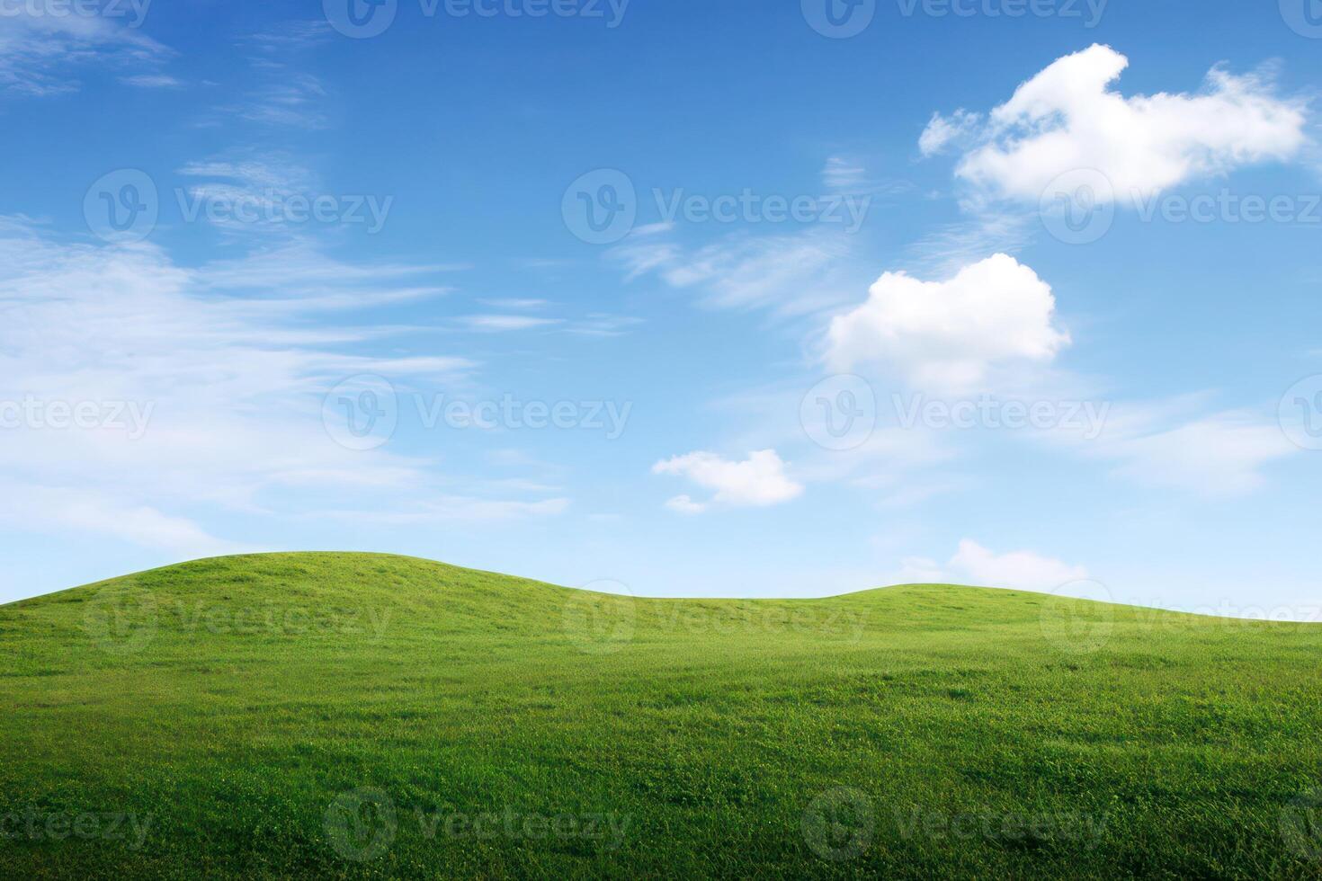 A man flying a kite in a field with a blue sky photo