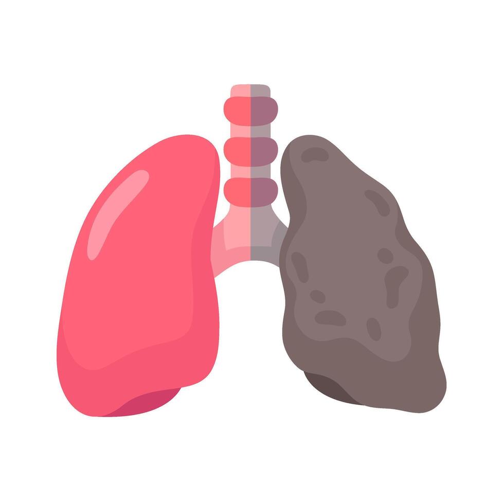 Comparison between healthy lungs and lungs damaged by regular smoking. vector