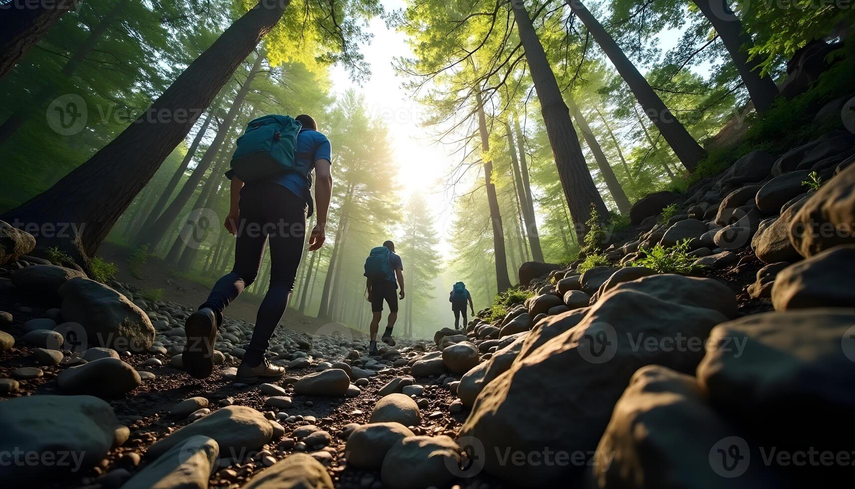 Hikers on Rocky Trail Through Forest photo