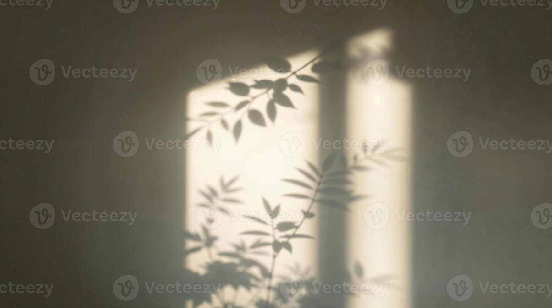 High-contrast, low-key lighting shows soft sunlight casting plant leaf shadows on a white wall. Deep shadows and natural light create a calm, organic, and slightly mystical effect. photo