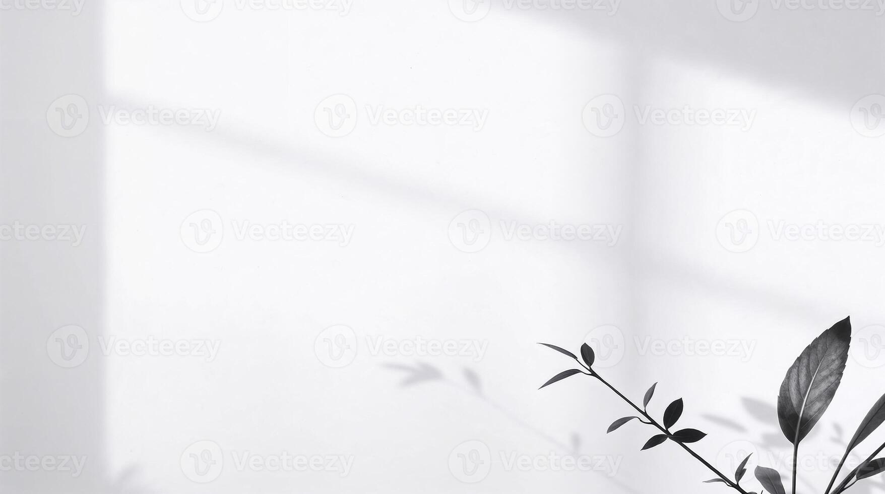 Soft sunlight filters through leaf shadows, evoking tranquility and timeless elegance in simple. photo