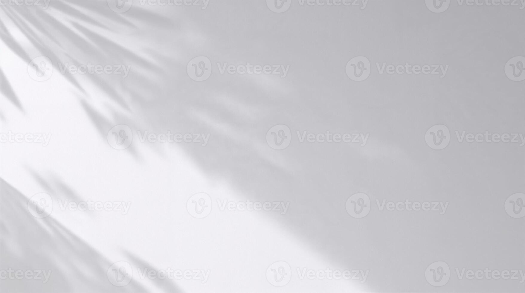 A sleek, high-resolution image showcasing motion with a soft gray gradient backdrop, where subtle abstract shadows and blurred lines create a smooth and modern aesthetic. photo