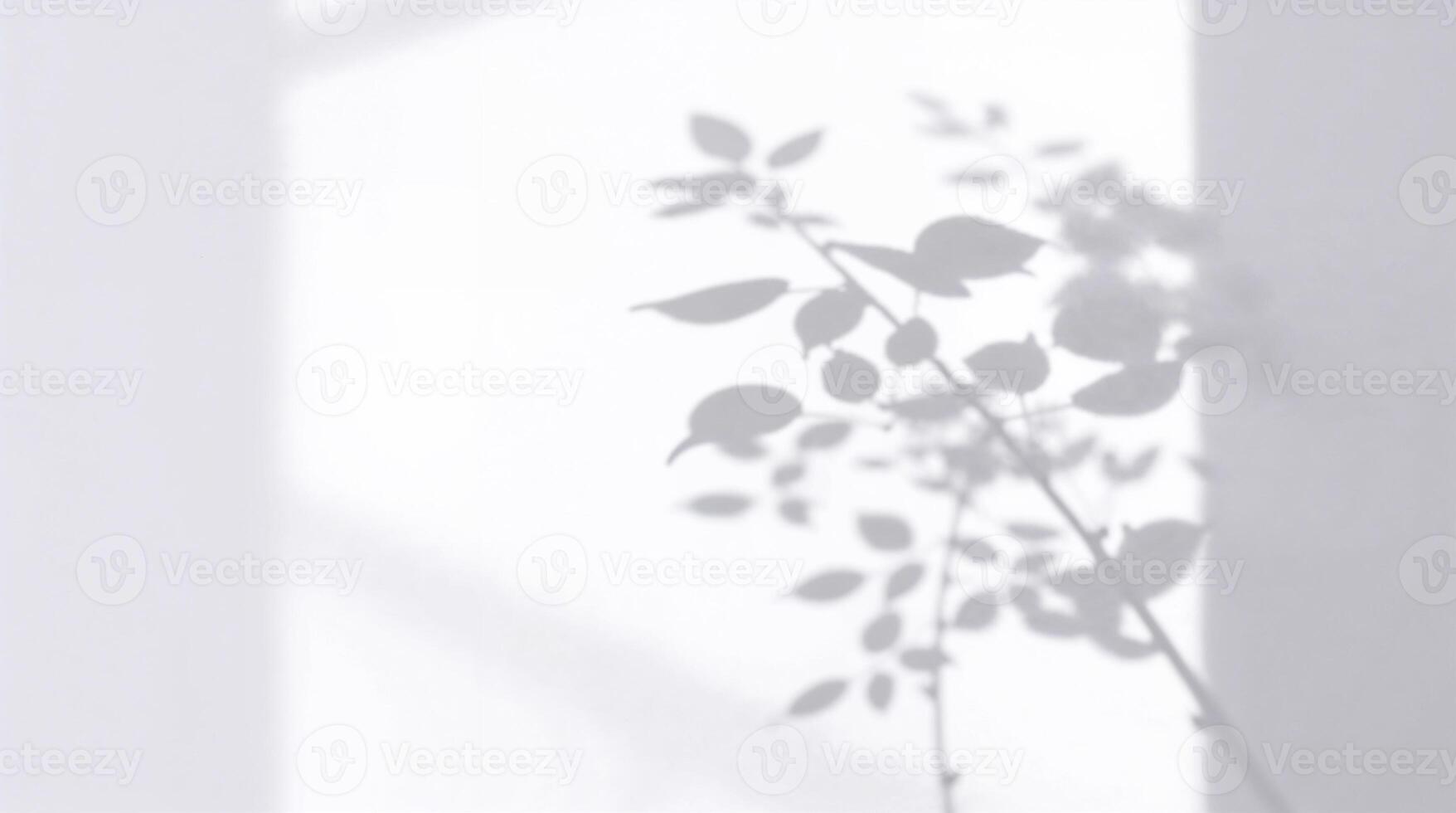 Modern flat design black-and-white image with plant leaf shadows on a white wall. Minimalist, organic, and elegant, timeless simplicity. photo