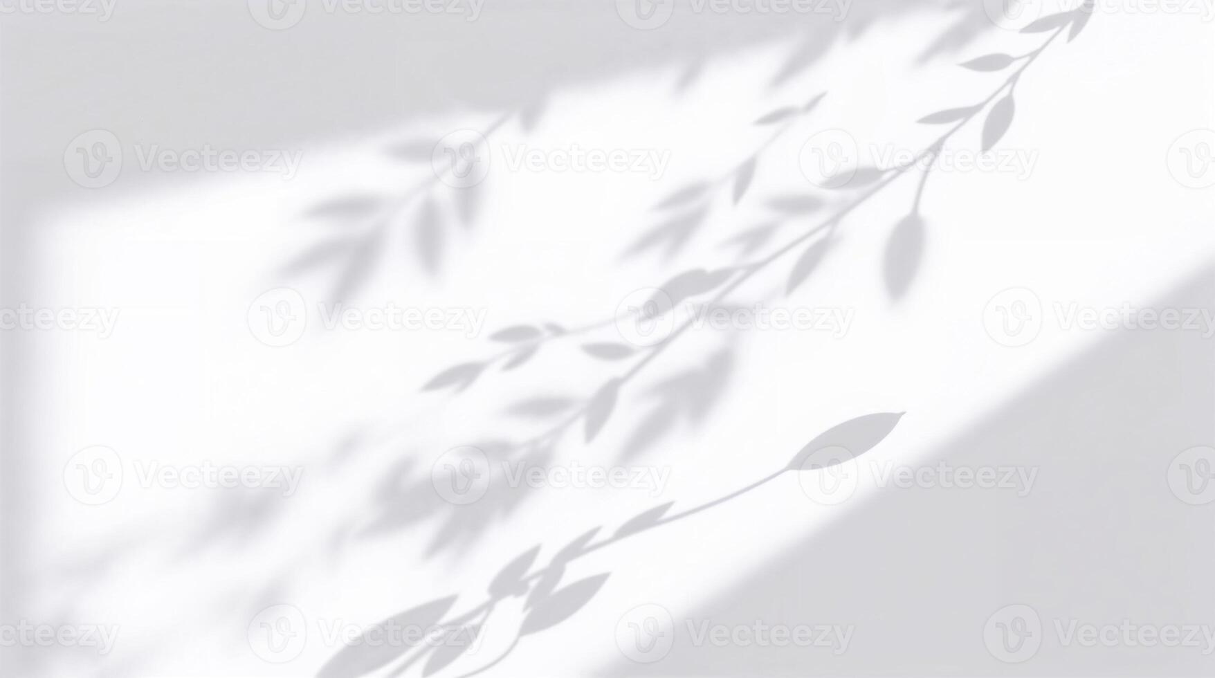 Grayscale image of leaf shadows on wall. Calm, organic, timeless style with natural light. photo