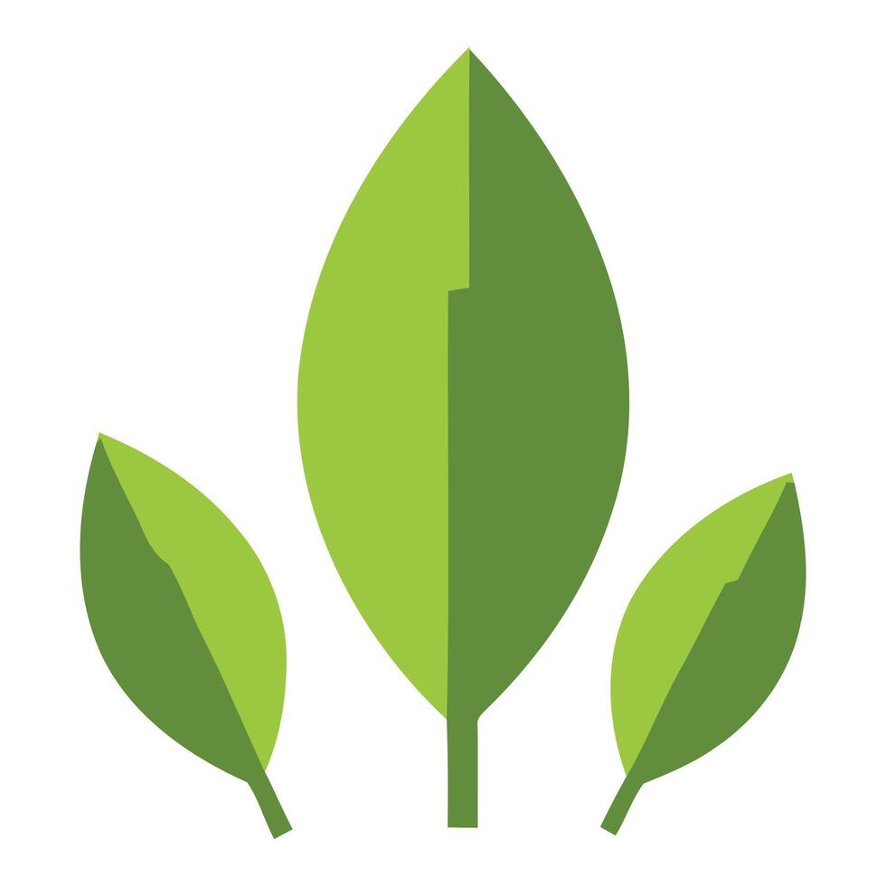 Three green leaves design element isolated on white background vector