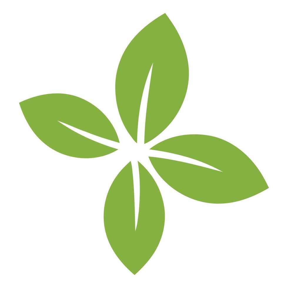 Four green leaves design element isolated on white background vector