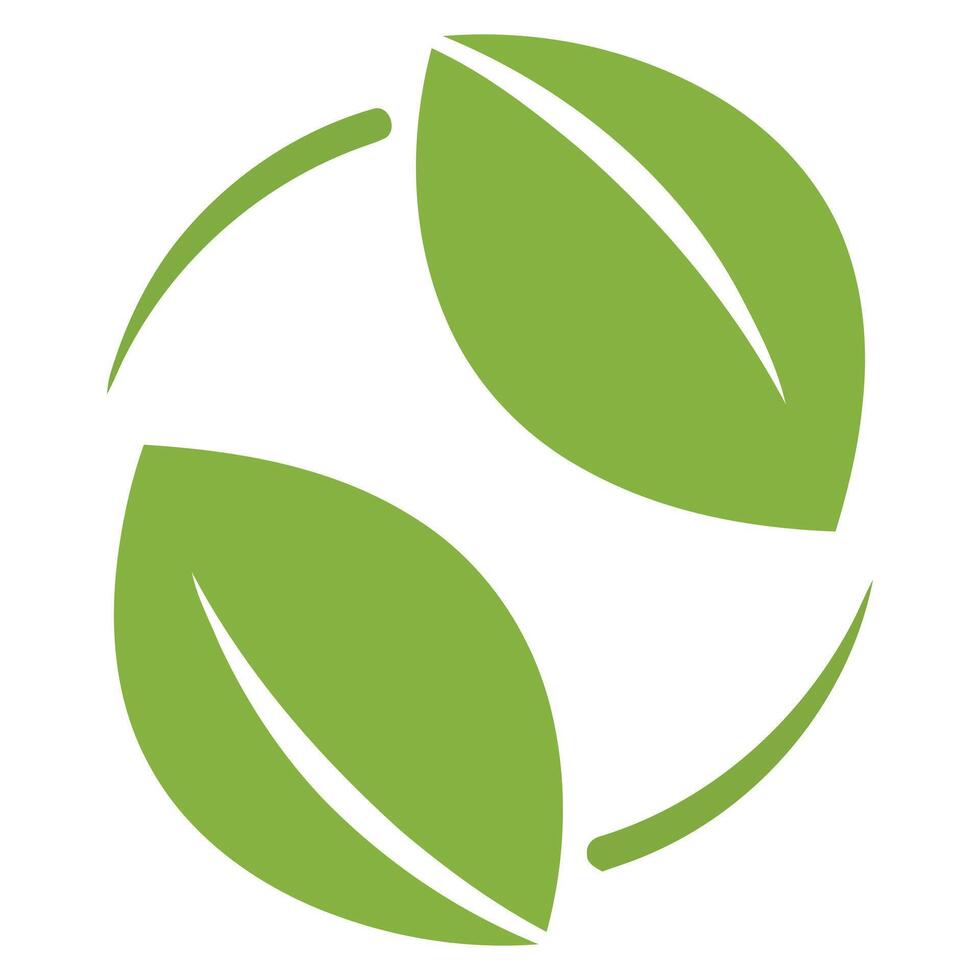 Green leaf recycling symbol design isolated on white background vector