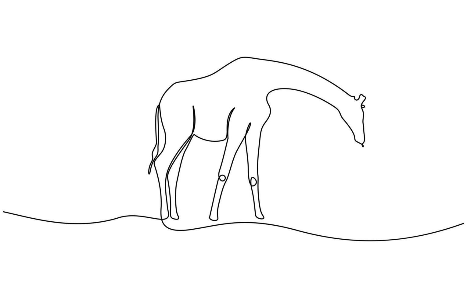 Continuous single line sketch drawing of wild giraffe, Continuous one line drawing of Giraffe design. vector