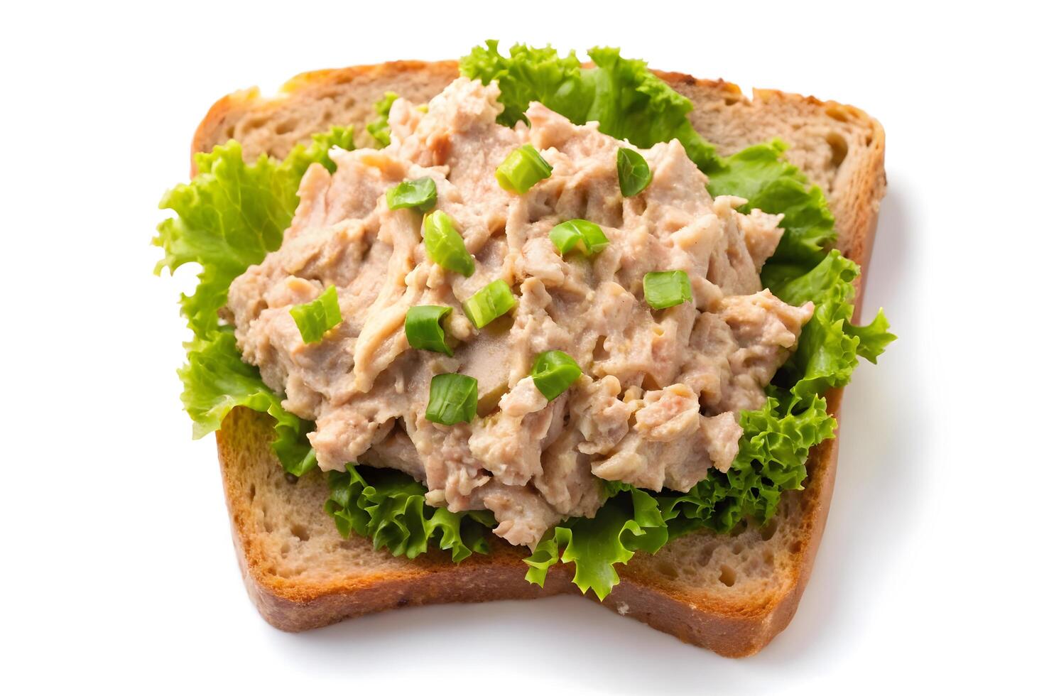 Delicious tuna salad sandwich on whole-wheat bread. photo