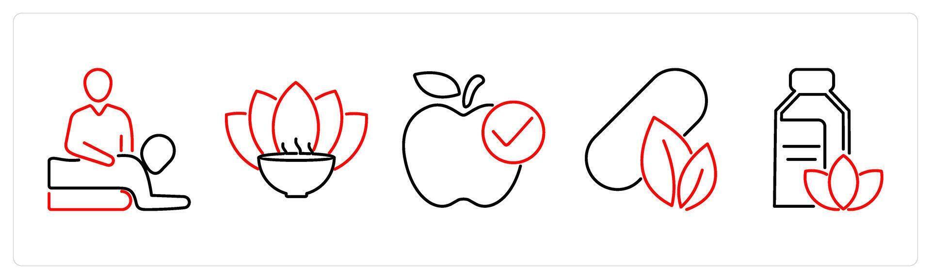 5 Mix icons as therapy, aromatherapy, dietary food in red bold vector