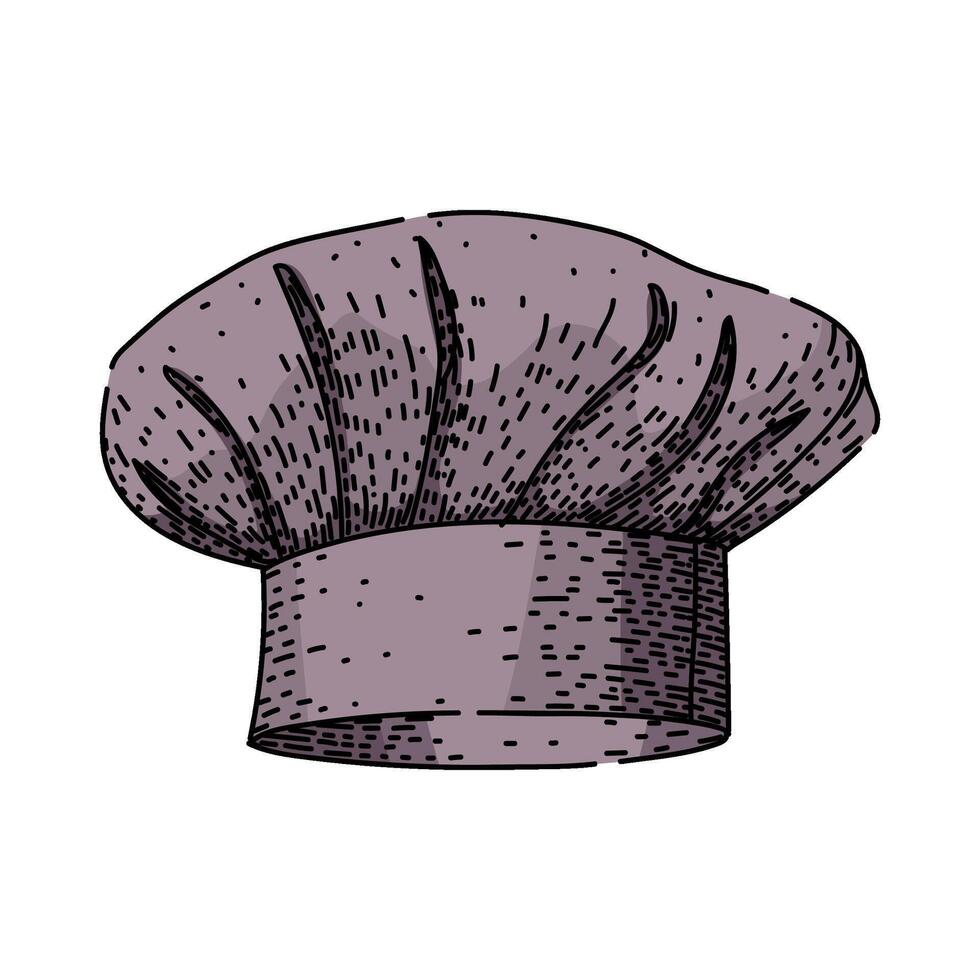 culinary chef hat sketch drawn items vector