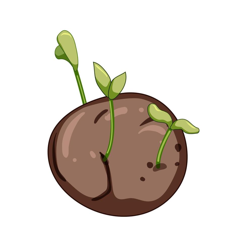 permaculture grass seed bomb cartoon item vector