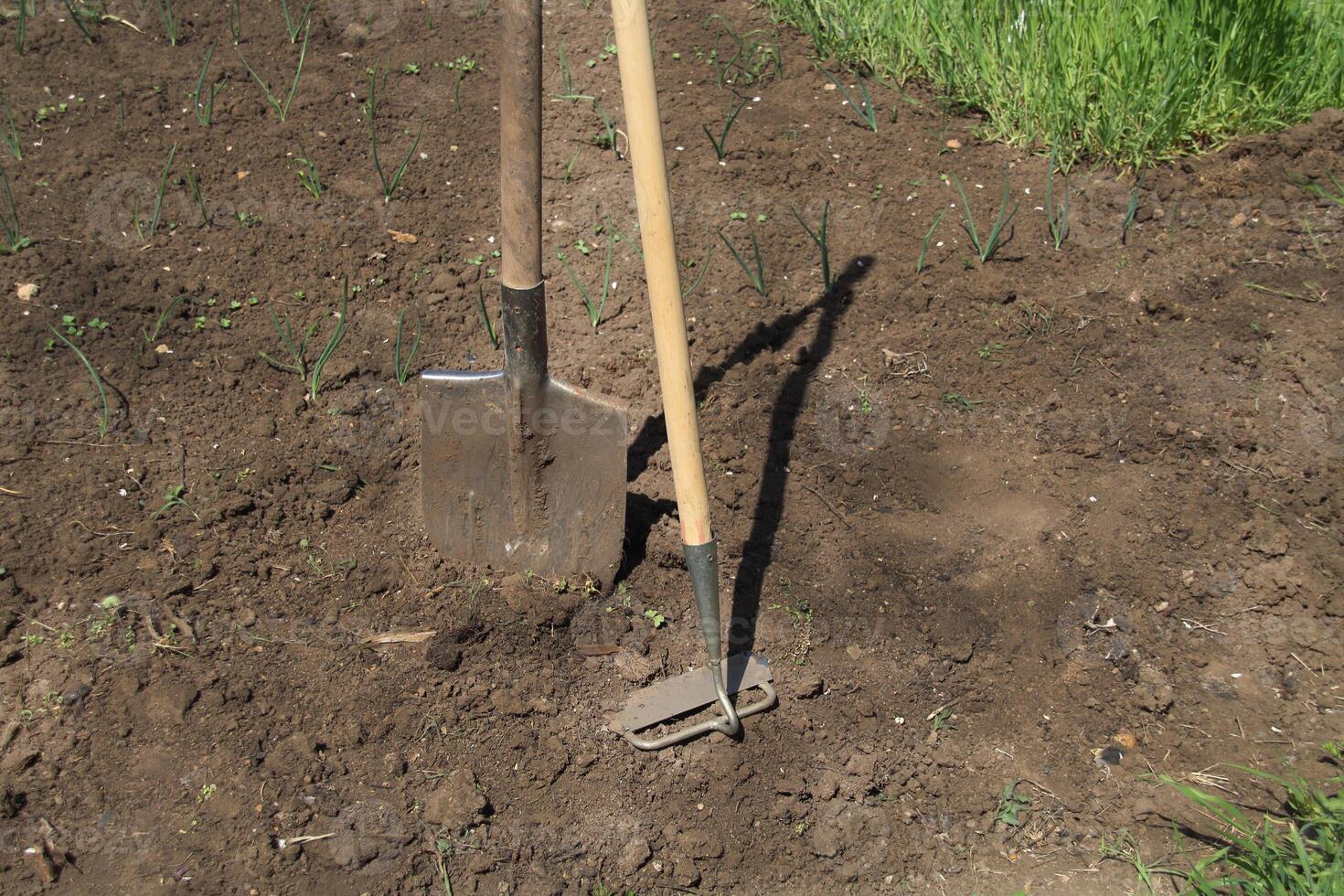 Garden tools are on the ground photo