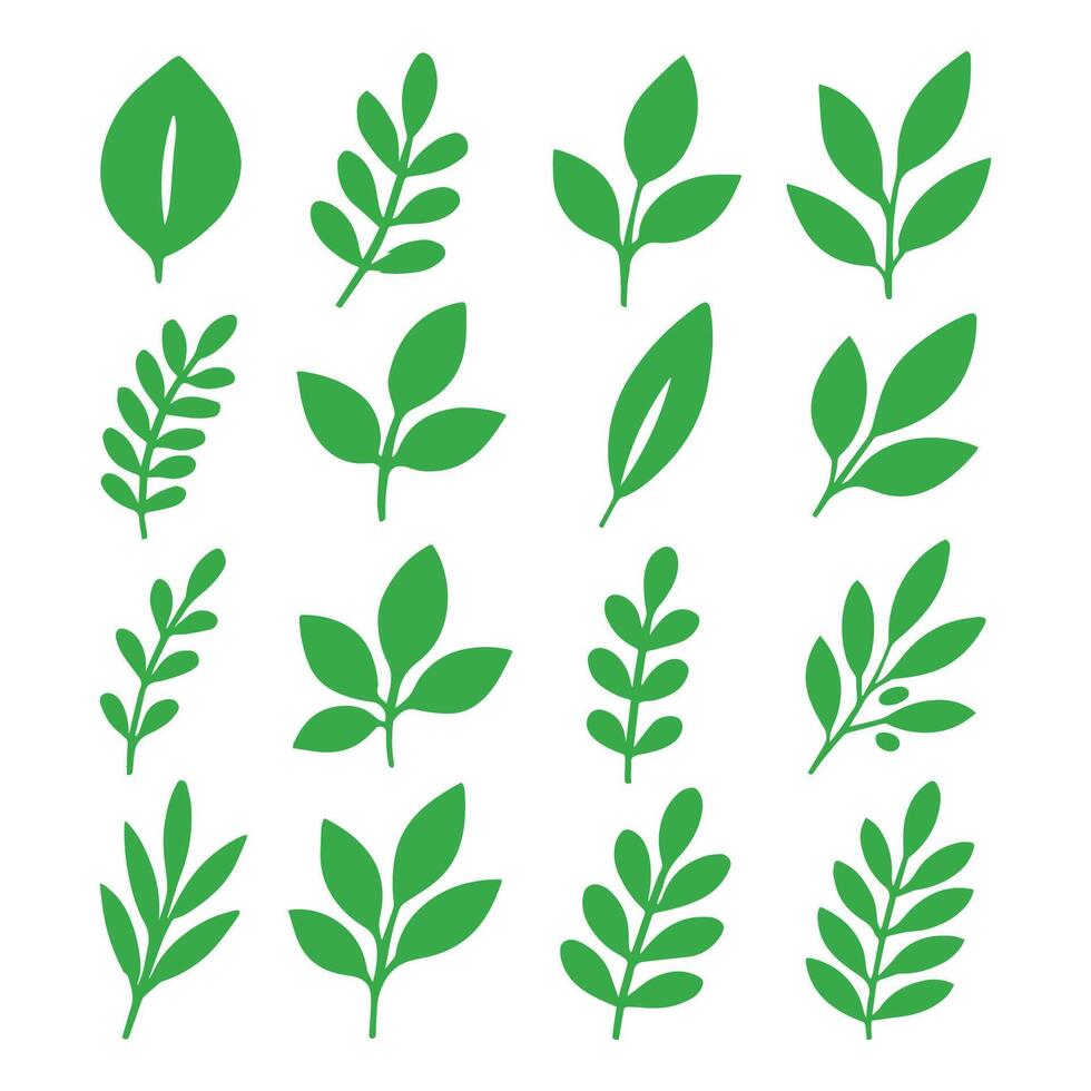 Clean and Minimal Leaf Outline Illustrations For Creative Projects vector
