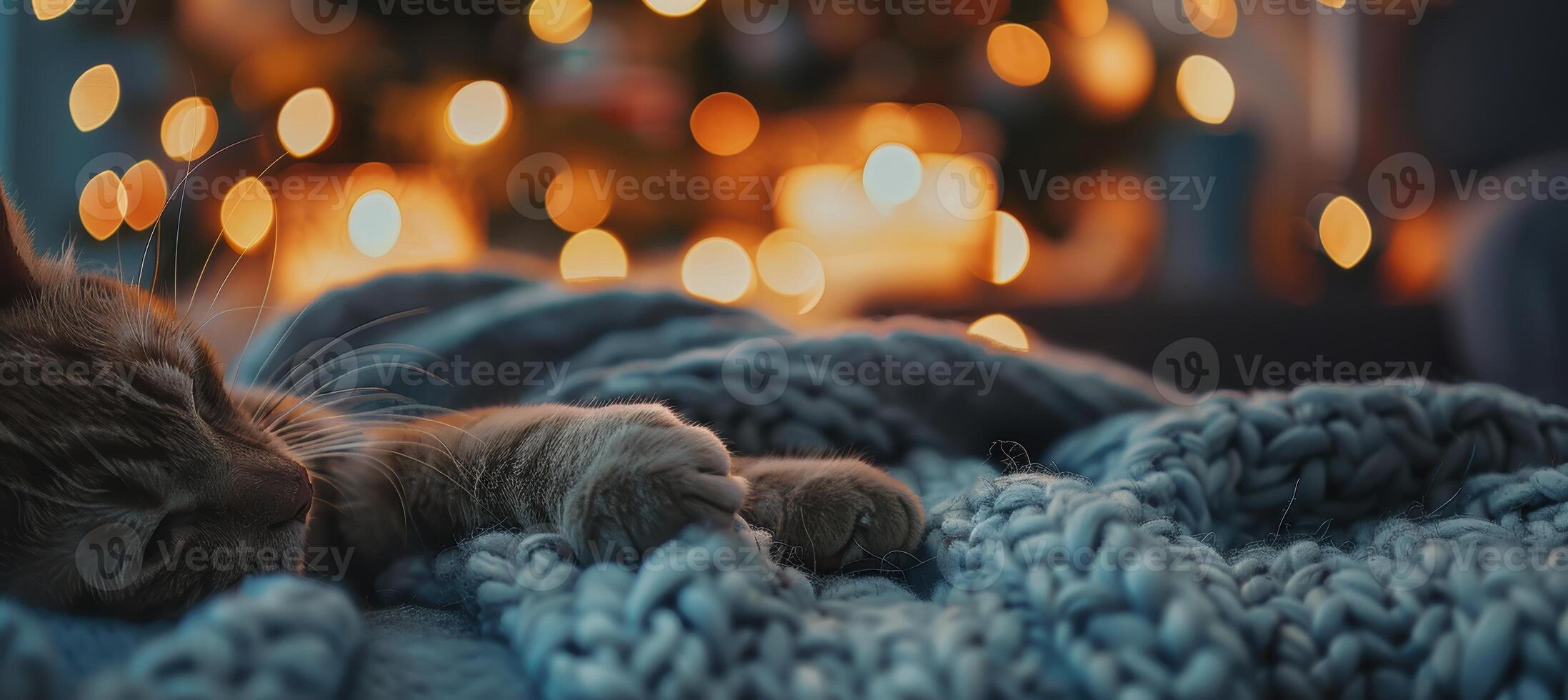 Cozy Cat Paws Resting on Wool Blanket with Warm Festive Lights in Background photo