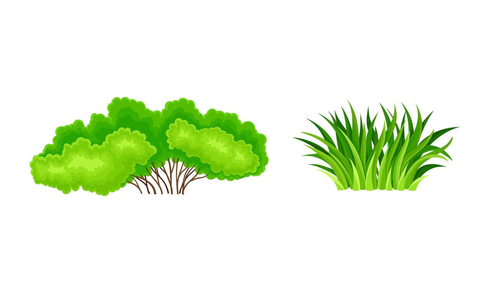 Green bush and grass set. Summer landscape design elements cartoon illustration vector