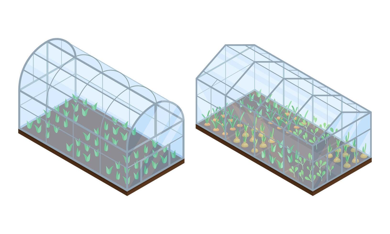 Farm rural buildings set. Glass greenhouses with seedlings isometric illustration vector