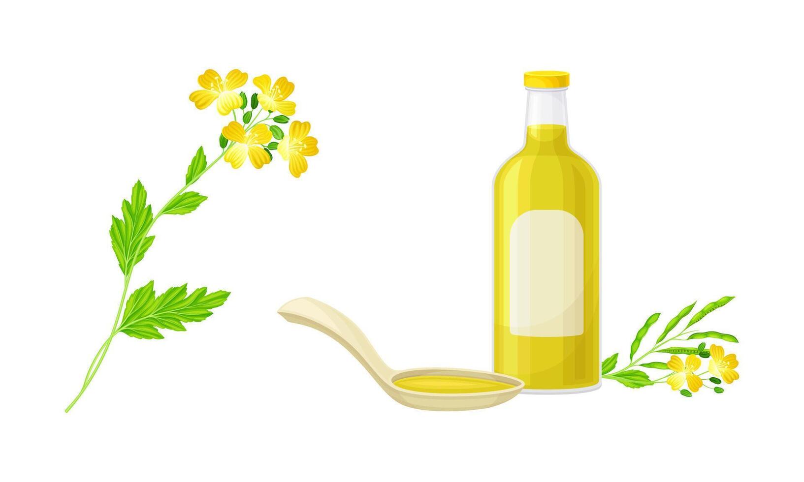 Mustard plant with seeds and oil in glass bottle set. Natural organic healthy product illustration vector