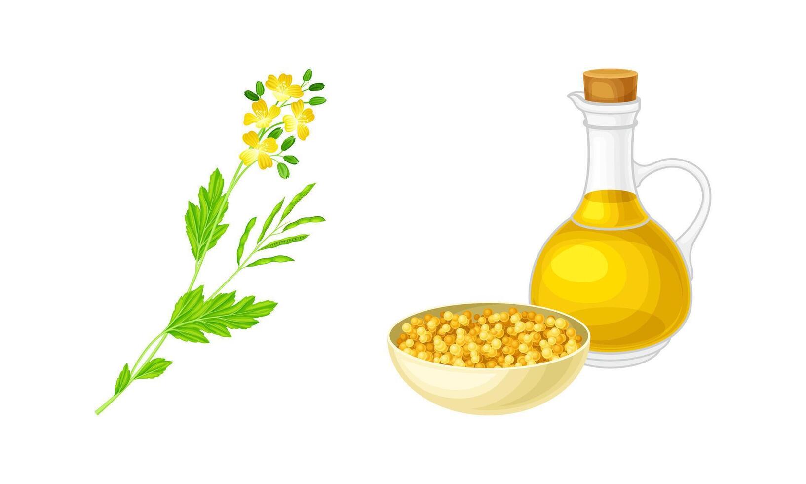 Mustard plant, bowl of seeds and oil in glass jug set. Natural organic healthy product illustration vector