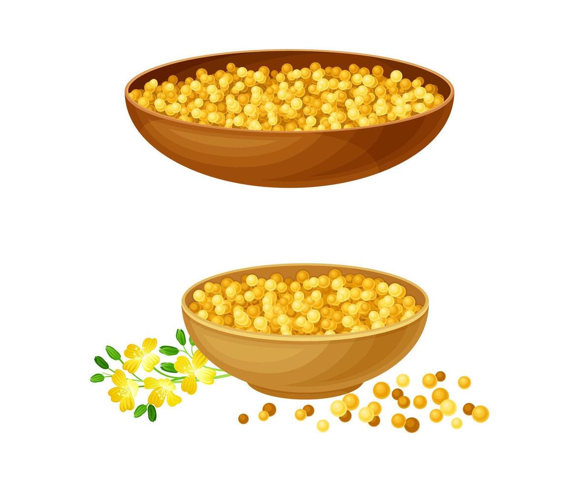 Wooden bowls of mustard seeds set. Natural organic healthy product illustration vector