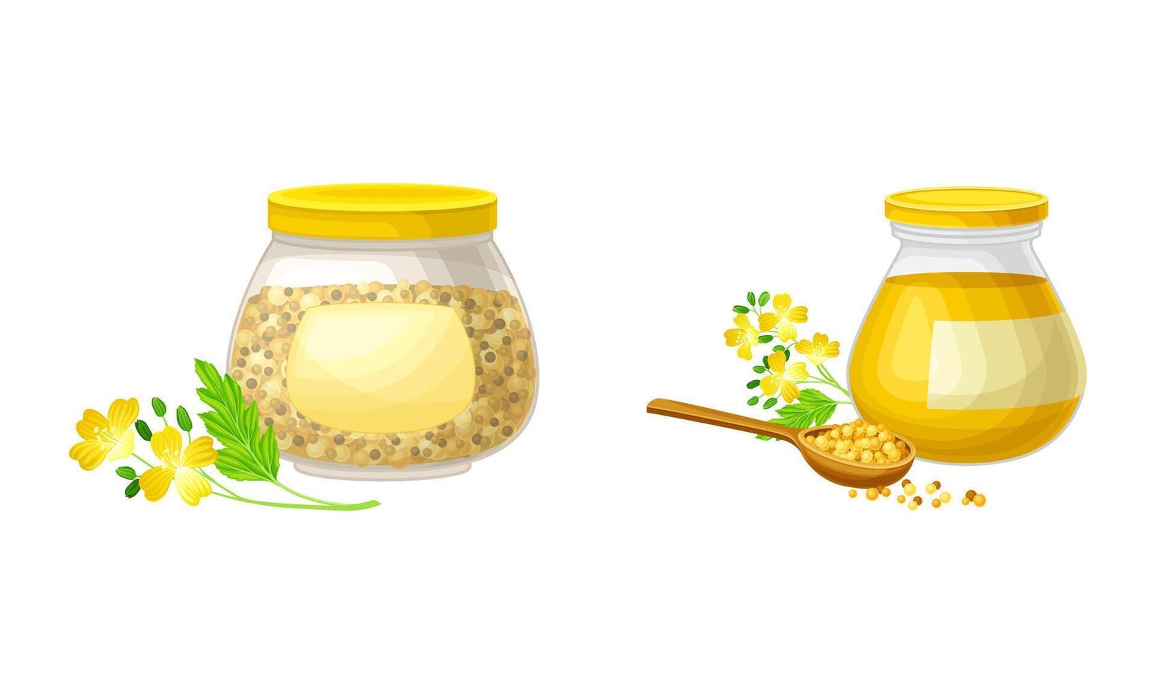 Mustard seeds and oil in glass jars set. Natural organic healthy product illustration vector