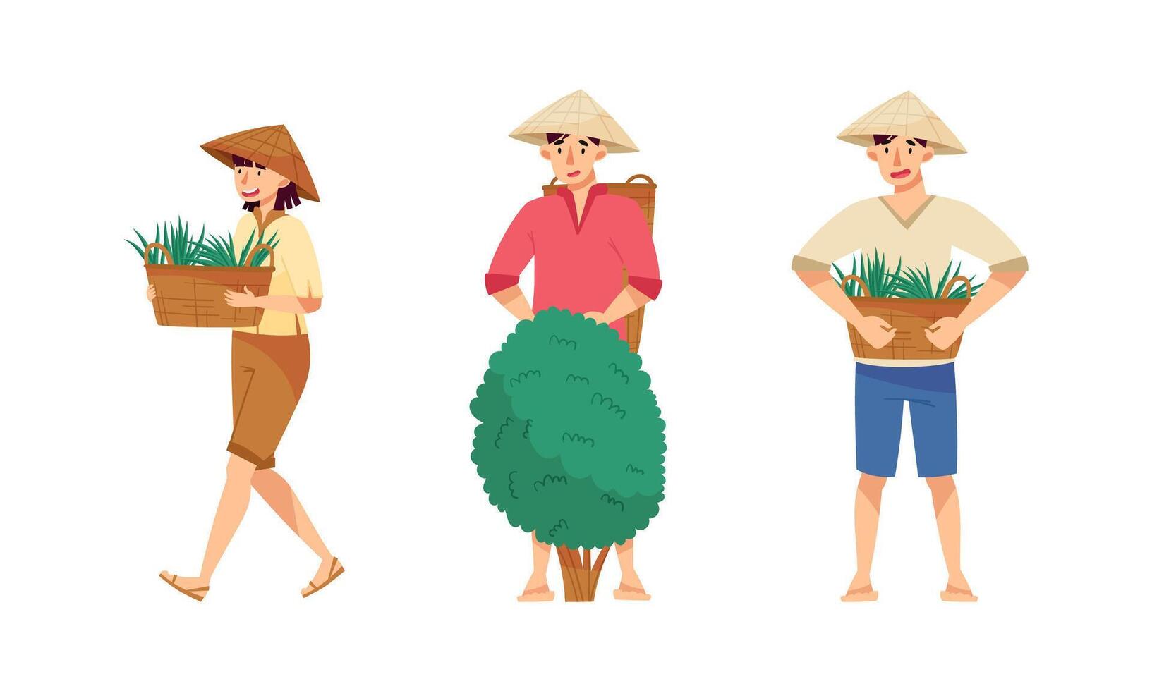 Asian farmers working on farm set. Peasants in straw conical hats planting rice and harvesting tea on field cartoon illustration vector