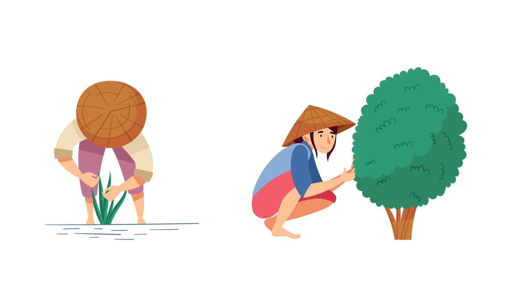 Asian farmers working on farm set. Peasants in straw conical hats harvesting tea and rice on field cartoon illustration vector