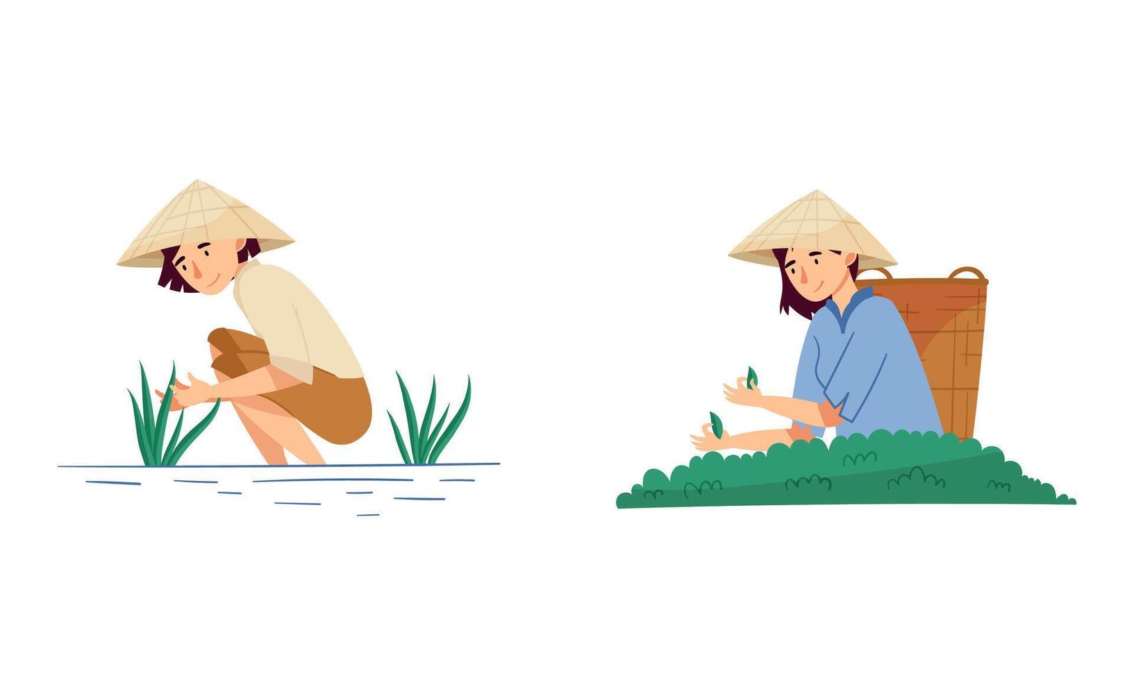 Asian farmers working on farm set. Peasants in straw conical hats harvesting tea and planting rice cartoon illustration vector