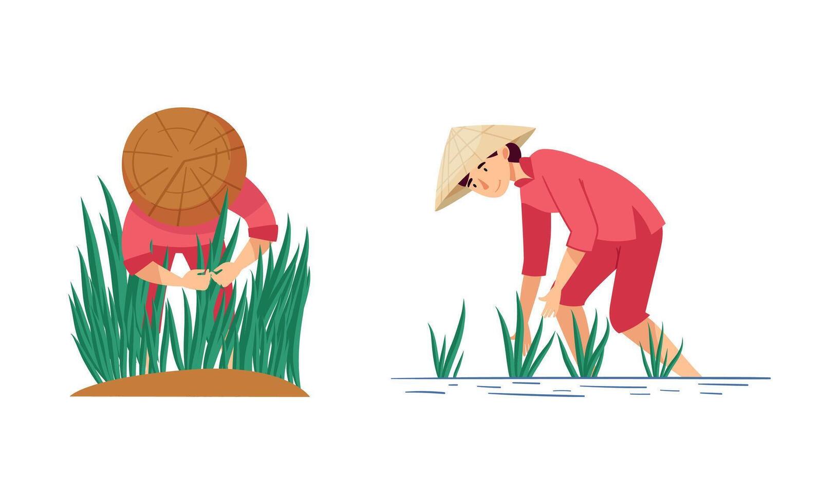 Asian farmers working on farm set. Peasants in straw conical hats planting rice on field cartoon illustration vector