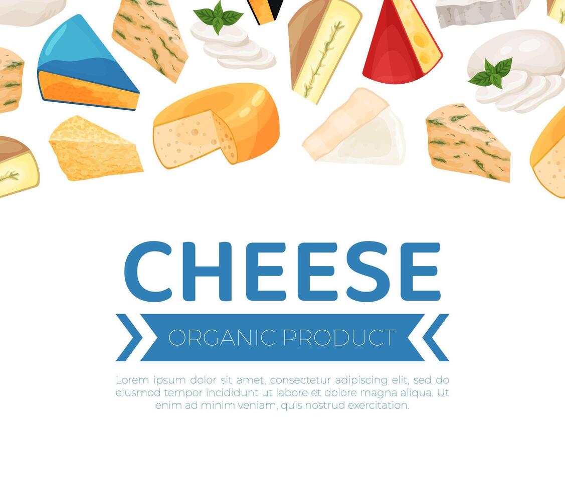 Cheese organic product banner. Farm market or grocery store design illustration vector