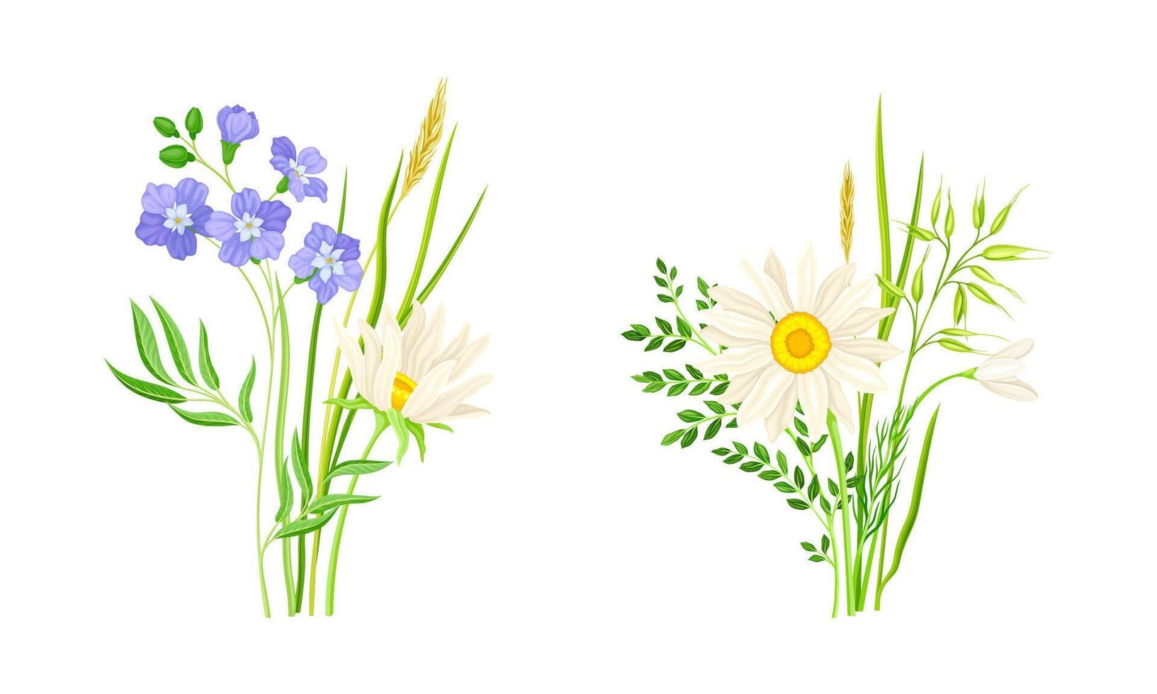 Set of summer blooming wildflowers set. Beautiful bouquets of meadow flowers, botanical natural floral design illustration vector