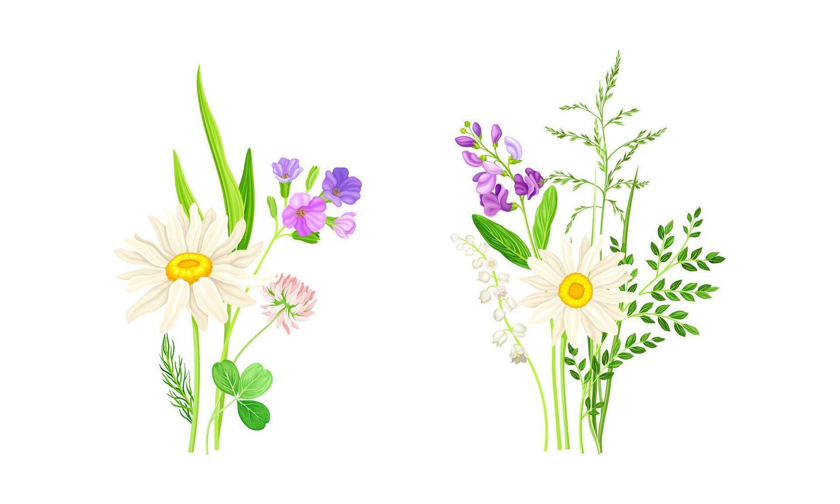 Set of summer blooming wildflowers set. Beautiful bouquets of meadow flowers and grass, chamomile, phlox, clover illustration vector