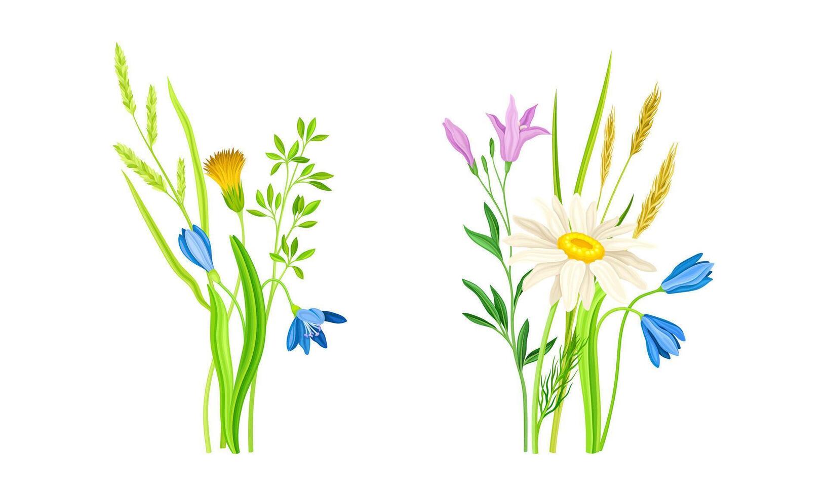 Set of summer blooming wildflowers set. Beautiful bouquets of meadow flowers illustration vector