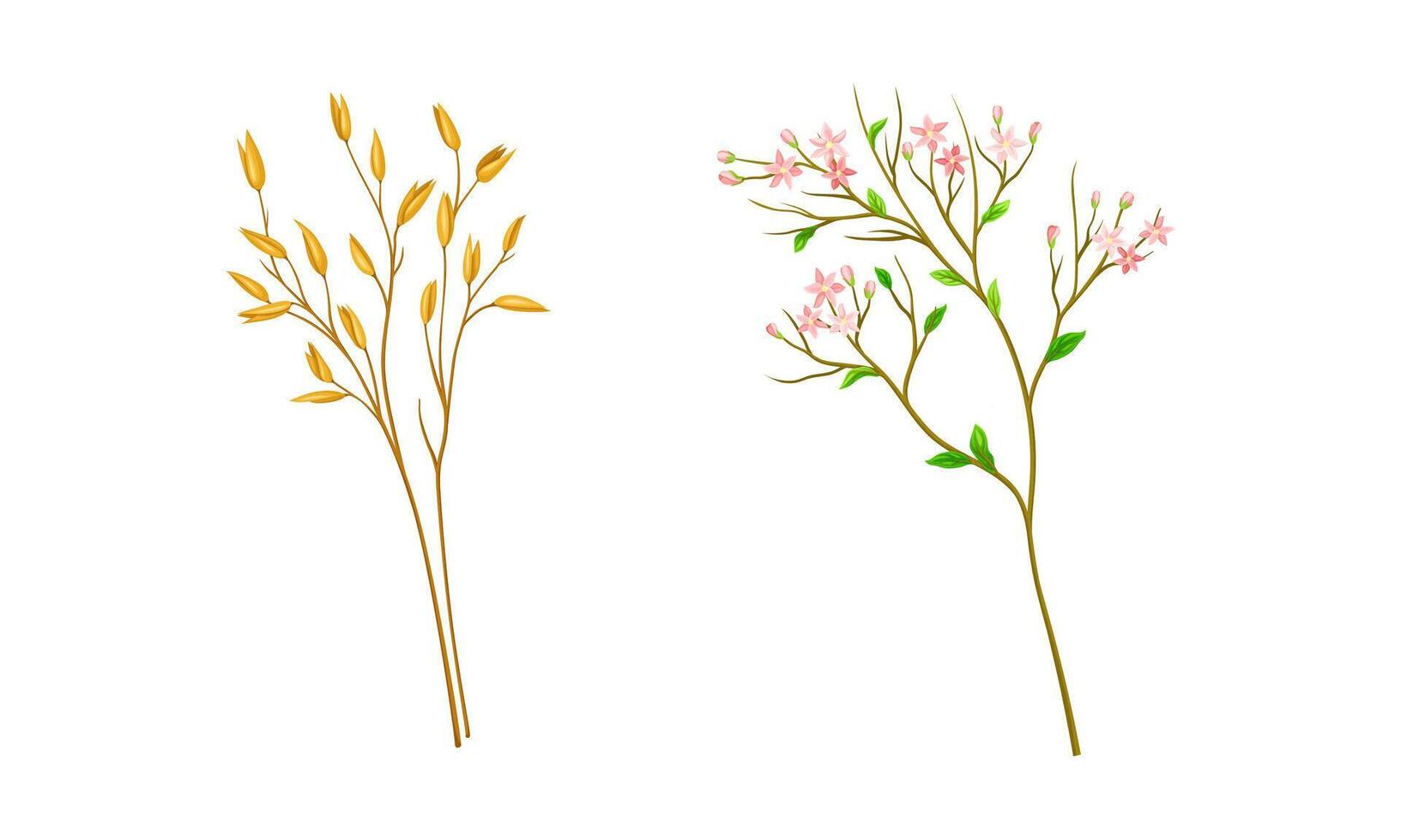 Set of summer or spring meadow flowers and plants set illustration vector