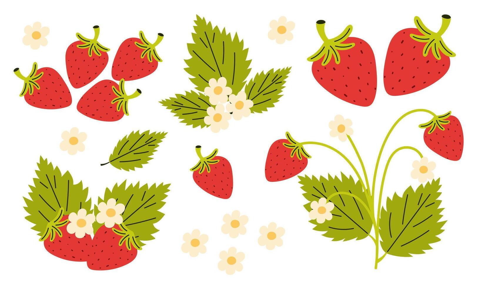 Set of strawberry juicy berries, green leaves and blossom. illustration. vector