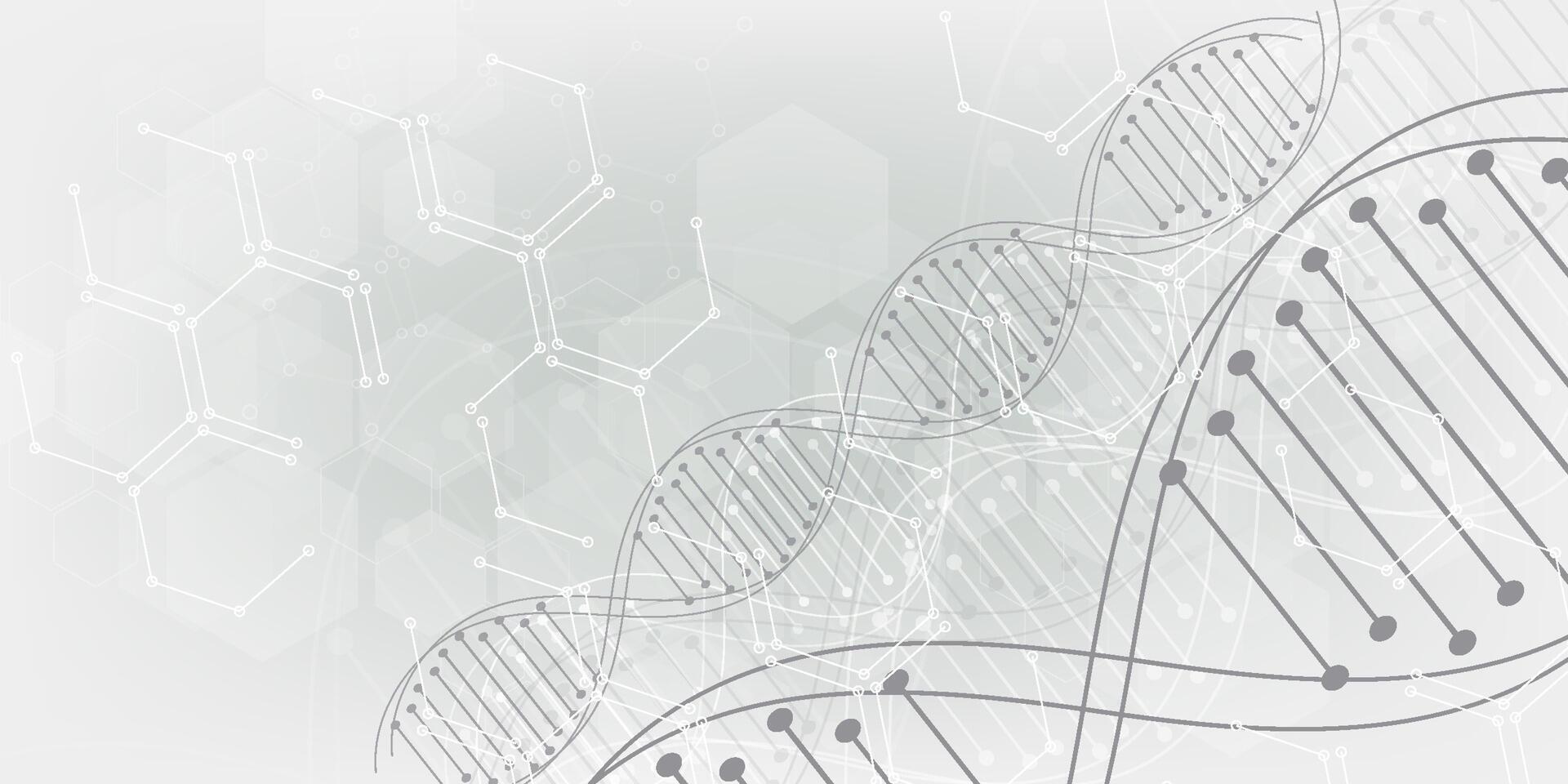 Gray scientific background with DNA line and hexagon cells. modern design vector