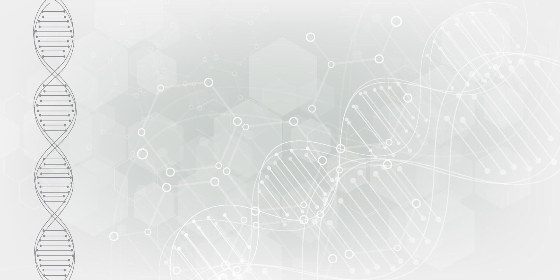 Gray scientific background with DNA line and hexagon. modern design vector
