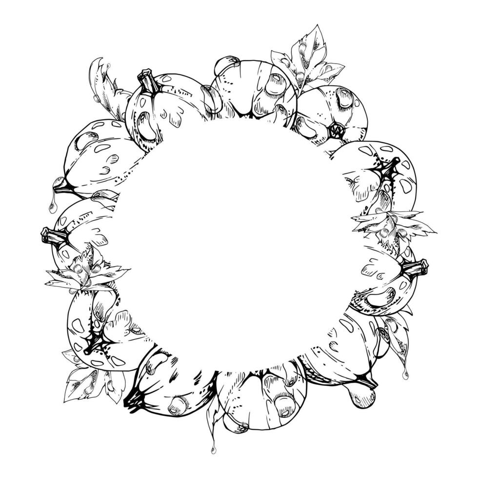 Currant gooseberry closeup with leaves in water dew drops, ripe garden berry juneberry casseille jostaberry hand drawn in ink. Isolated wreath frame. Organic food drink, fresh eco grocery store vector