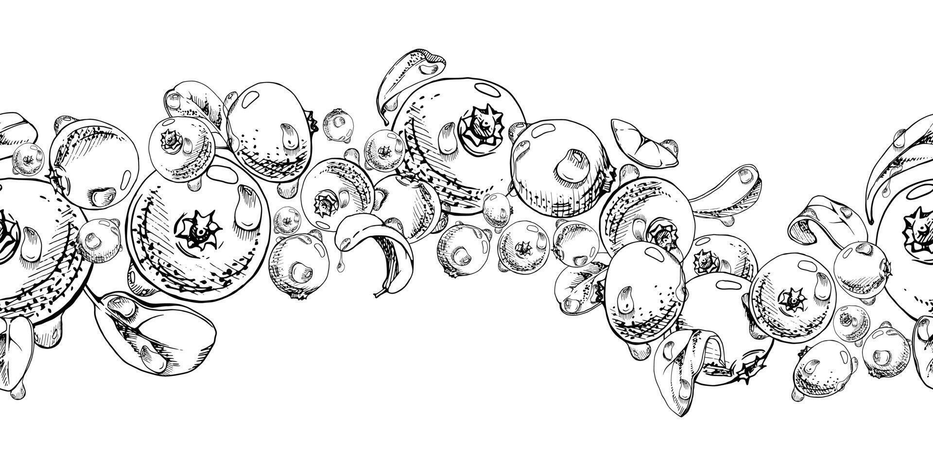 Cranberry lingonberry, water dew drops and green leaves, hand drawn in ink, scattered flying ripe forest berry bearberry teaberry. Isolated seamless banner. Dessert cafe menu, farmers market vector