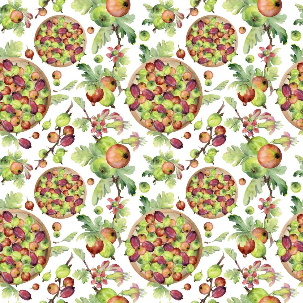 Gooseberry Currant on ceramic dish, scattered huckleberry berries leaves hand drawn in watercolor, ripe picked harvest. Isolated seamless pattern. Restaurant menu, cookbook, farmers market grocery vector