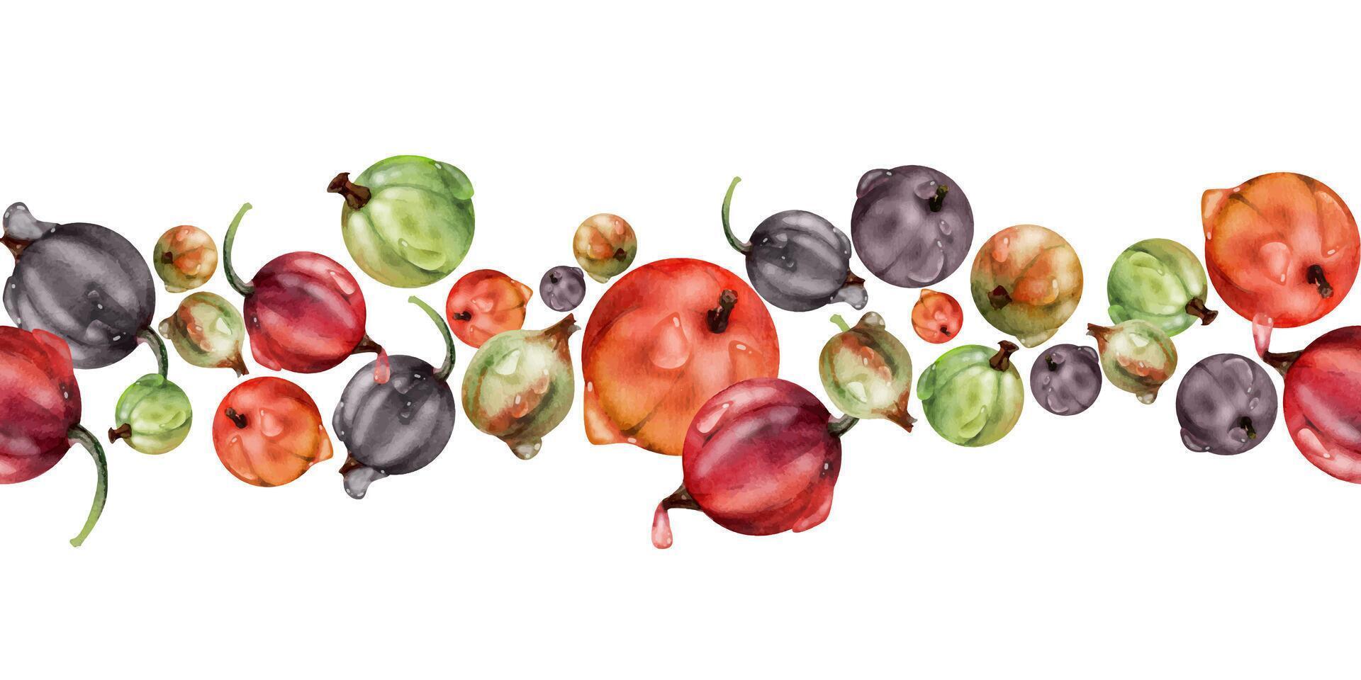Currant gooseberry in water dew drops hand drawn in watercolor, scattered ripe garden berry group. Seamless isolated banner garland. Home preserves, textile stationery, food store decor, recipe book vector