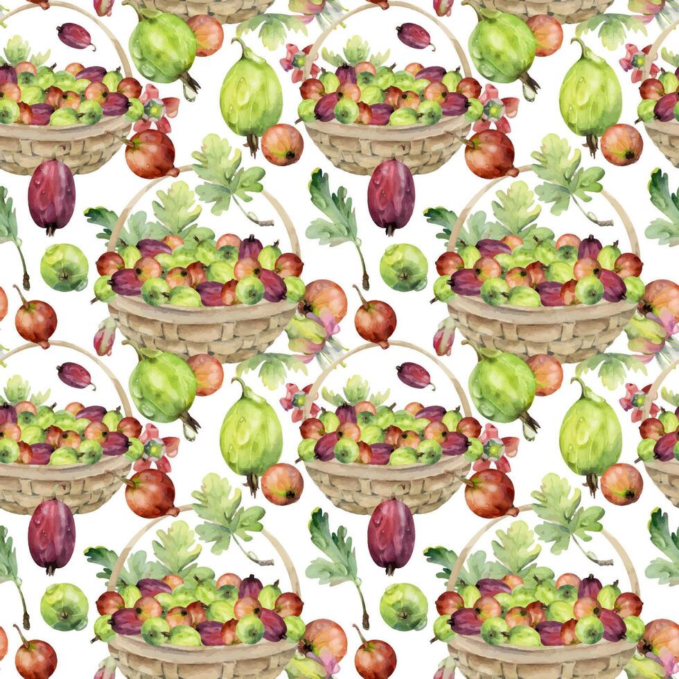 Gooseberry Currant in weaved basket with leaves, scattered ripe picked berry harvest. Isolated seamless pattern hand drawn in watercolor. Dessert cafe menu, cookbook, craft farmers market, gardening vector