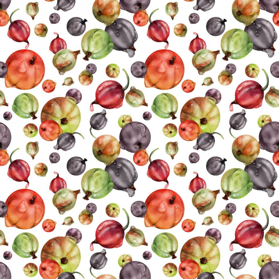 Currant gooseberry in water dew drops, scattered garden berry huckleberry juneberry casseille jostaberry, watercolor hand drawn. Isolated seamless pattern. Background wallpaper, packaging cover design vector