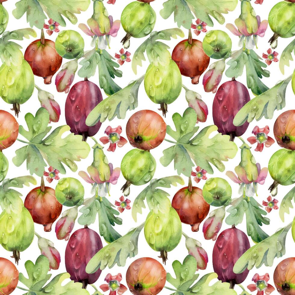 Gooseberry Currant garden berries leaves flowers scattered in water dew drops hand drawn in watercolor. Seamless isolated pattern tile. Home preserves, textile, food store decor, wrapping gift paper vector