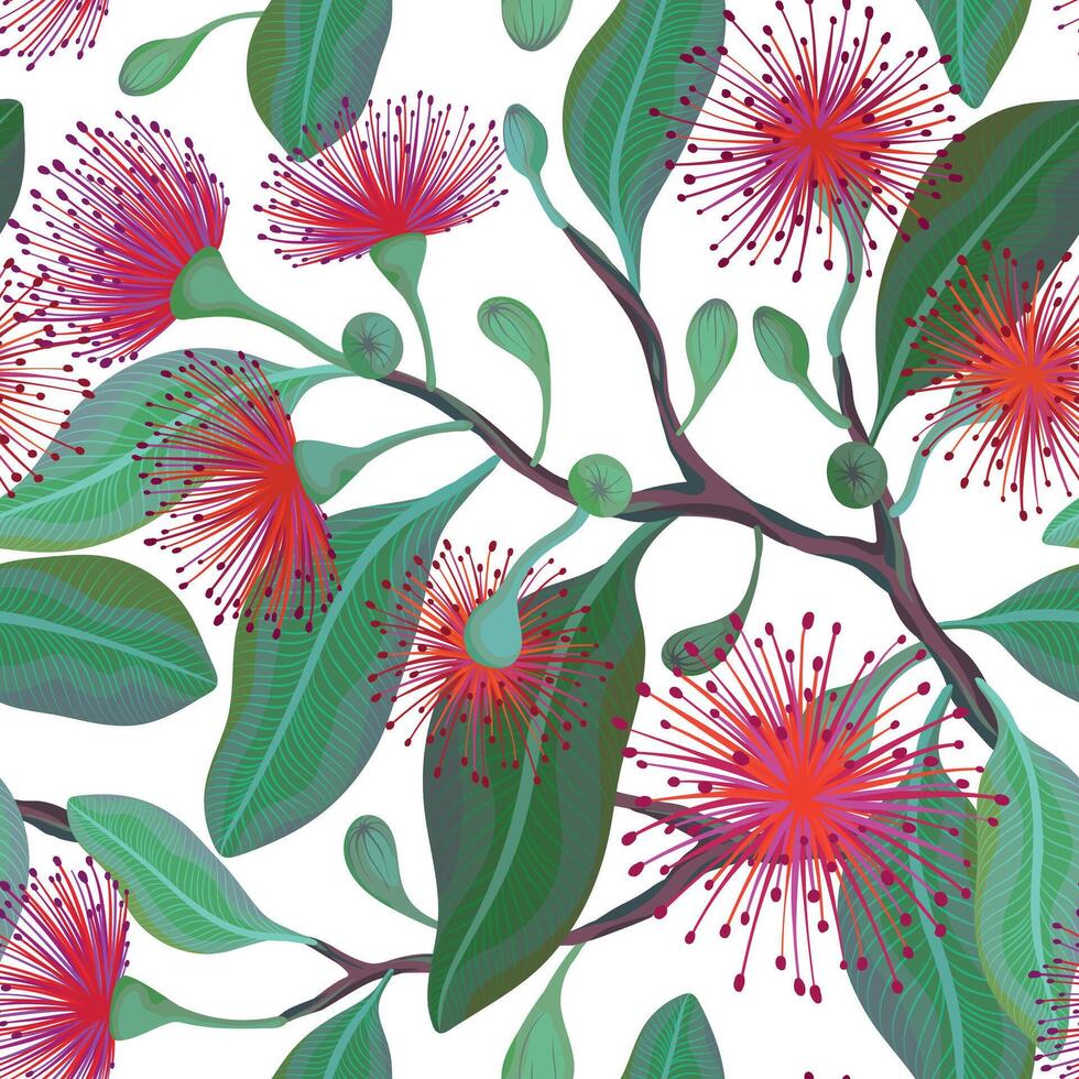 Seamless pattern with leafy branches with purple fluffy eucalyptus flowers, illustration vector
